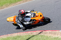 Middle Group Orange Bikes